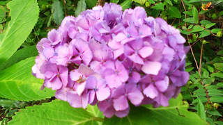 DSC_1879.jpg